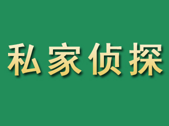 南江市私家正规侦探