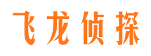 南江市调查公司